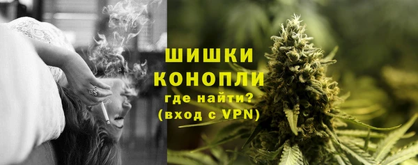 гашик Богородск